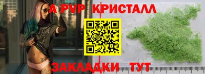 Альфа ПВП Будённовск