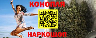Альфа ПВП Будённовск
